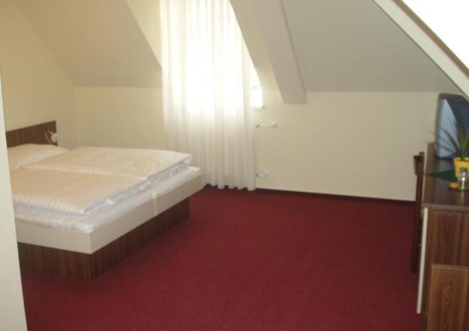 Hotel Altenberg Staré Hory Rom bilde